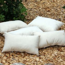 Füllungen - Inletts