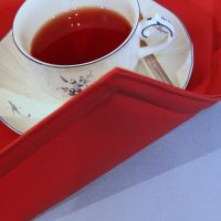 Kunstleder Platzset Rot 228 Steppnähte